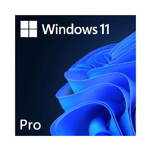 Microsoft Windows 11 Professional 64-Bit DVD